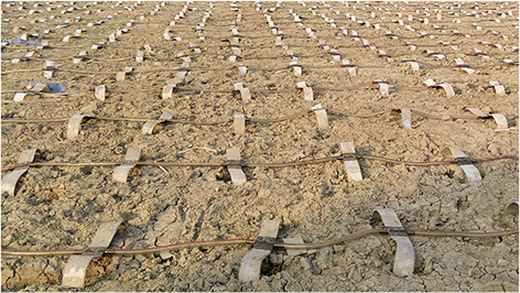 塑料排水板技術(shù)