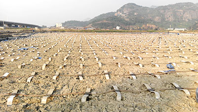 FDP快速軟地基處理技術(shù)