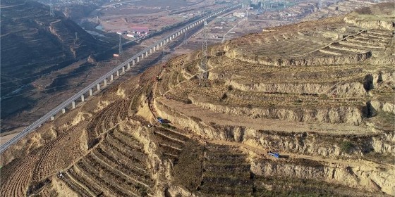 坡面防護(hù)設(shè)計-植樹防護(hù)