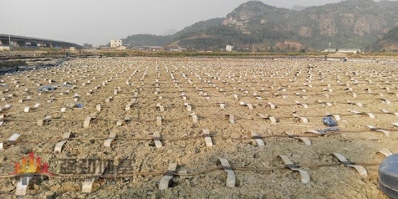 真空預(yù)壓施工方法方案