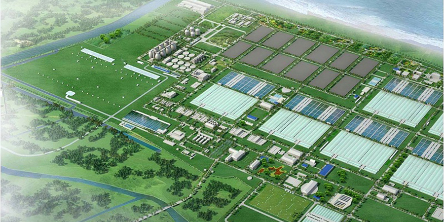 智能植樁：上海白龍港污水處理廠