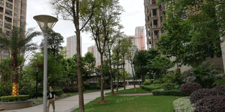 加勁樁：南寧鳳祥名居住宅小區(qū)