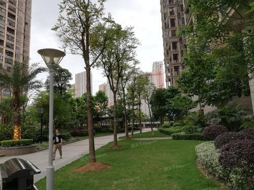 旋噴攪拌加勁樁：南寧鳳祥名居住宅小區(qū)