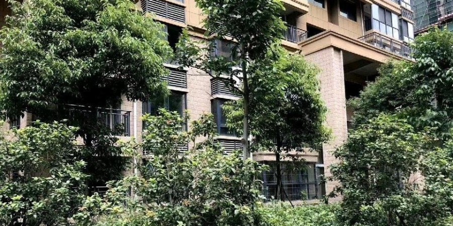 基坑工程：上海龍灣華庭二期地下庫(kù)